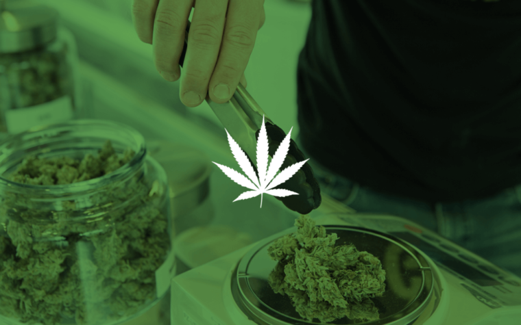 Top 10 Canadian Marijuana and Cannabis Stocks