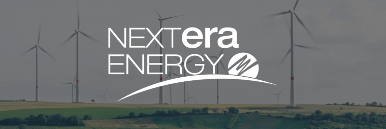 Election-proof stocks: NextEra Energy Stock (NEE stock)
